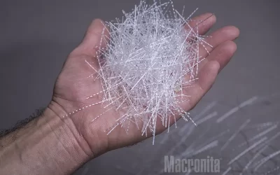 macronita macronita
